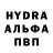 ГАШИШ Изолятор Bold Lion